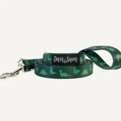 Fashion Dan and Sam Dan & Sam - Dog Lead (Dinosaur Land) - Small