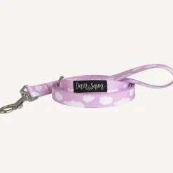 Fashion Dan and Sam Dan & Sam - Dog Lead (Dreamer) - Large