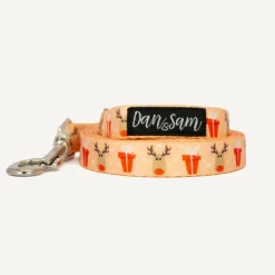 Fashion Dan and Sam Dan & Sam - Dog Lead (Love You Deerly) - Small