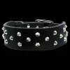 Outlet Dan and Sam Dan & Sam - Genuine Leather Staffy Collar (Black)