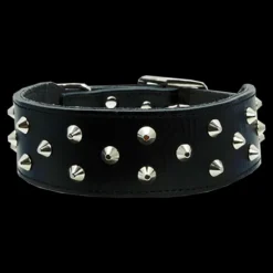 Outlet Dan and Sam Dan & Sam - Genuine Leather Staffy Collar (Black)
