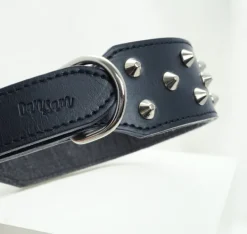 Outlet Dan and Sam Dan & Sam - Genuine Leather Staffy Collar (Black)