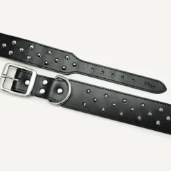 Outlet Dan and Sam Dan & Sam - Genuine Leather Staffy Collar (Black)