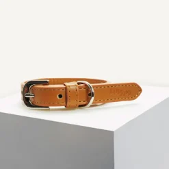 Fashion Dan and Sam Dan & Sam - Vegan Leather Dog Collar (Tan)