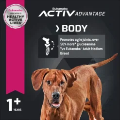 Outlet Eukanuba - Dry Eukanuba - Large Breed Adult Dog Dry Food (15kg)