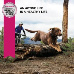Outlet Eukanuba - Dry Eukanuba - Large Breed Adult Dog Dry Food (15kg)