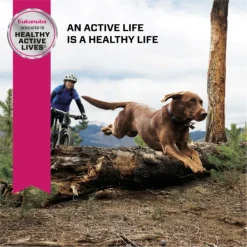 Hot Eukanuba - Dry Eukanuba - Large Breed Senior Adult Dog Dry Food (14kg)