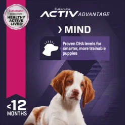 Fashion Eukanuba - Dry Eukanuba - Medium Breed Puppy Dry Food (15kg)