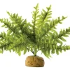 Sale Pet Pacific Misc. Exo Terra - Boston Fern (Small)