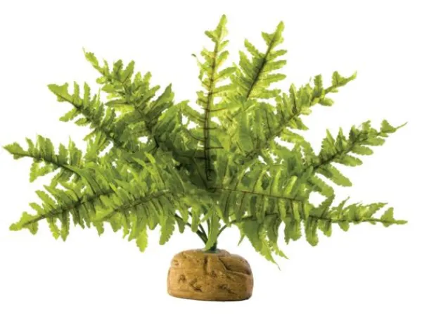 Sale Pet Pacific Misc. Exo Terra - Boston Fern (Small)