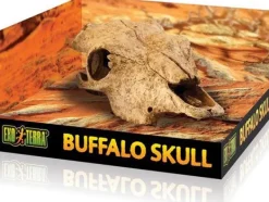 Discount Exo Terra - Buffalo Skull (Medium)