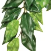 Discount Exo Terra - Forest Ficus (Large)