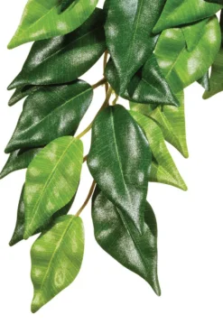 Best Exo Terra - Forest Ficus (Small)
