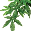 Fashion Exo Terra - Forest Plant Abuilton (Large)