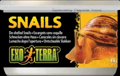 Fashion Exo Terra - Snails