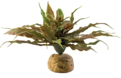 Online Pet Pacific Misc. Exo Terra - Star Cactus