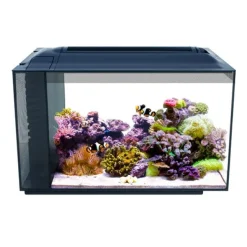 Online Fluval - Sea EVO Saltwater Nano Kit 52L