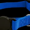 Clearance Furwear - Basic Cat Collar (Blue)