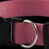 New Furwear - Basic Dog Collar (Pink)