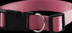 New Furwear - Basic Dog Collar (Pink)