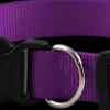 Discount Furwear - Basic Dog Collar (Purple)