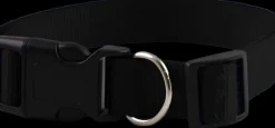 Hot Furwear - Basic Dog Collar (Black)