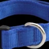 Discount Furwear - Padded Dog Collar (Blue)
