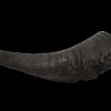 Best Showmaster Goat Horn (Medium)