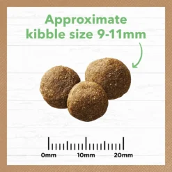 Online Ivory Coat - Dry Ivory Coat - Grain Free Large Breed Dry Puppy Food Lamb (13kg)