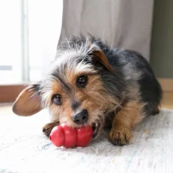 New KONG - Classic Dog Toy (Small)