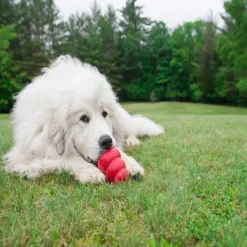 Discount KONG - Classic Dog Toy (X-Large)