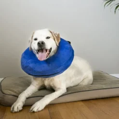 Hot KONG - Cushion Cloud Protective Collar (Medium)