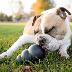 Sale KONG - Extreme Dog Toy (Medium)