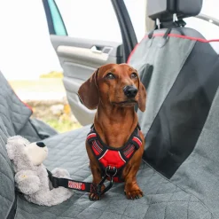 Online Central Pet Other KONG - 2-In-1 Bench Seat Cover & Hammock