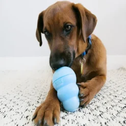 Sale KONG - Puppy (Small)