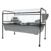 New Little Ones - Rabbit Run with Stand