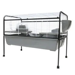 New Little Ones - Rabbit Run with Stand