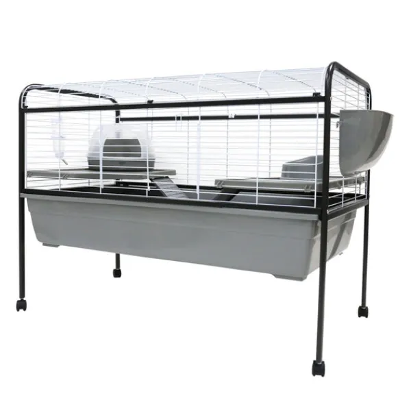 New Little Ones - Rabbit Run with Stand