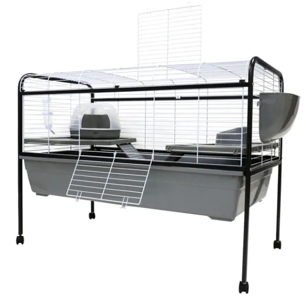 New Little Ones - Rabbit Run with Stand