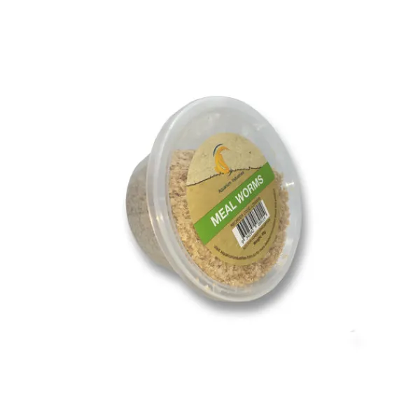 Fashion Aquarium Industries Live Mealworms Regular (50g)