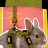 Hot Pet Pacific Misc. Living World - Dwarf Rabbit Harness & Lead Set (Green)