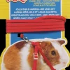 Outlet Pet Pacific Misc. Living World - Guinea Pig Harness & Lead Set (Red)