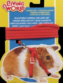 Outlet Pet Pacific Misc. Living World - Guinea Pig Harness & Lead Set (Red)