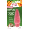 Sale Pet Pacific Misc. Living World - Small Animal Carrot Mineral Stone (30gm)
