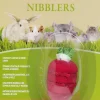 Fashion Pet Pacific Misc. Living World - Wood Loofah Strawberry