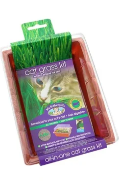 Discount Pet Pacific Misc. Mr Fothergills - Cat Grass Kit