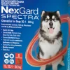 Outlet Boehringer Ingelheim NexGard Spectra - Chewables for Dogs (30.1-60kg) (6pk)