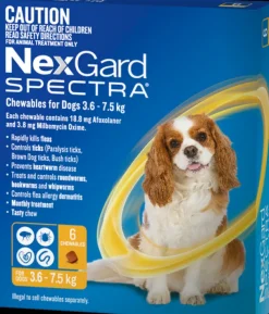 Fashion Boehringer Ingelheim NexGard Spectra - Chewables for Dogs (3.6-7.5kg) (6pk)