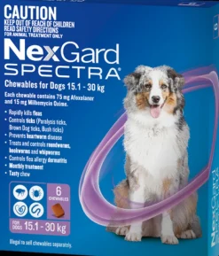 Best Boehringer Ingelheim NexGard Spectra - Chewables for Dogs (15.1-30kg) (6pk)