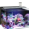 Sale Pet Pacific Misc. Ocean Free - Nano Marine Aquarium (96L)
